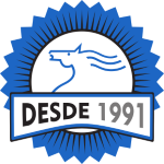 logo 1991